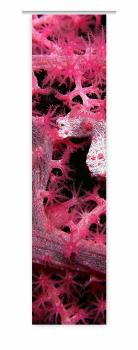 Flächenvorhang Meermomente Magenta Schiebevorhang, Schiebegardine, modern, 60 cm breit, 2,65 m hoch, 3 m hoch